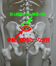 腰の下の方が痛いの記事用写真.jpg