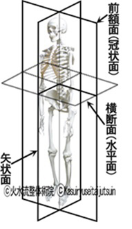 かんたんに覚える☆解剖学とボディーマッピング04.jpg